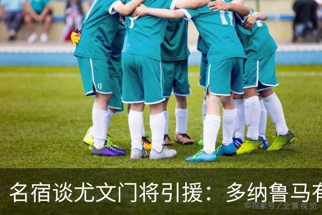 名宿谈尤文门将引援：多纳鲁马有短板 3C离开是“严重错误”